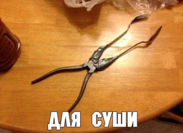 Картинки сегодня