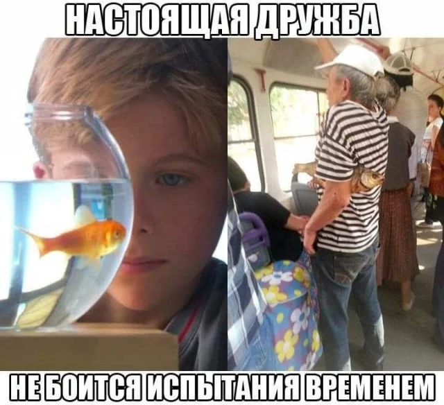Смешные пикчи