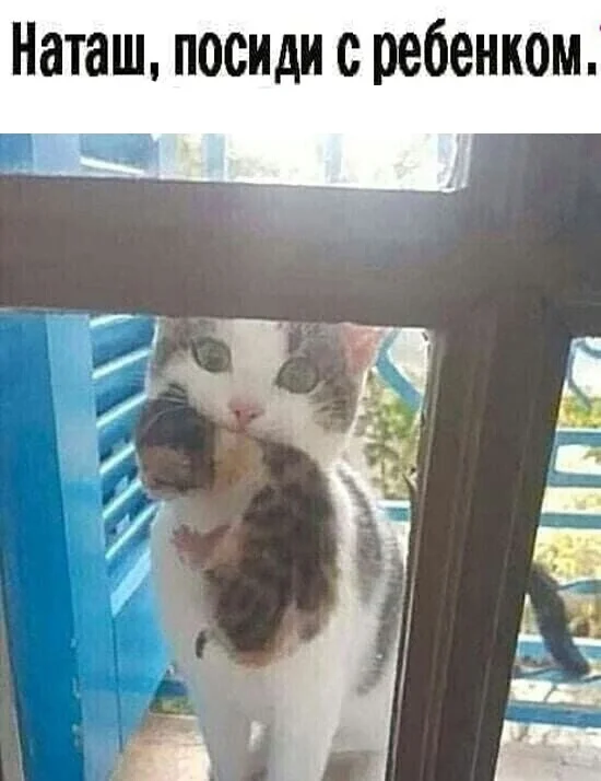 Так себе картинки