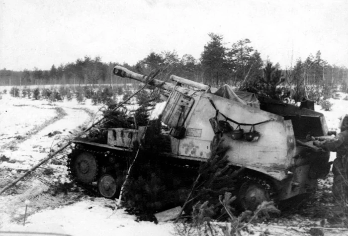 Этот странный Сверчок