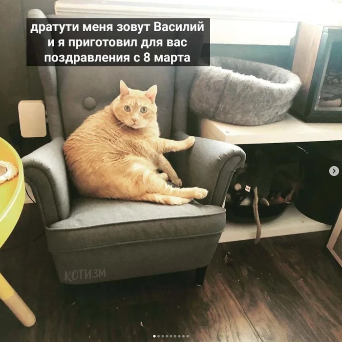 С 8 марта!⁠⁠