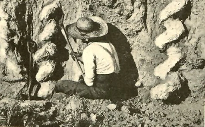 Тайна «дьявольских штопоров»