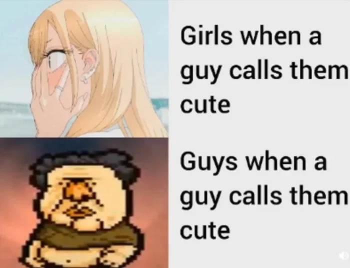 Анимешные мемы