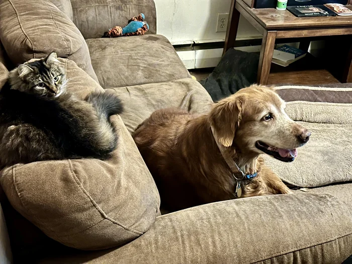 Самое необычное или странное вы делали ради секса?⁠⁠