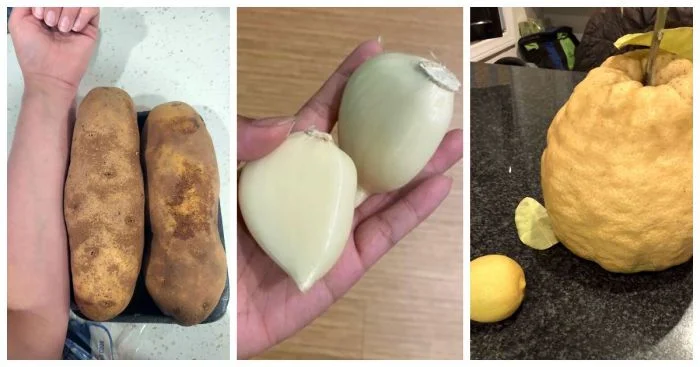 Удачливые гурманы: 25 людей, выигравших счастливый билет в пищевой лотерее