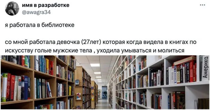 Только в библиотеке: необычные сценарии, которые могут произойти только здесь