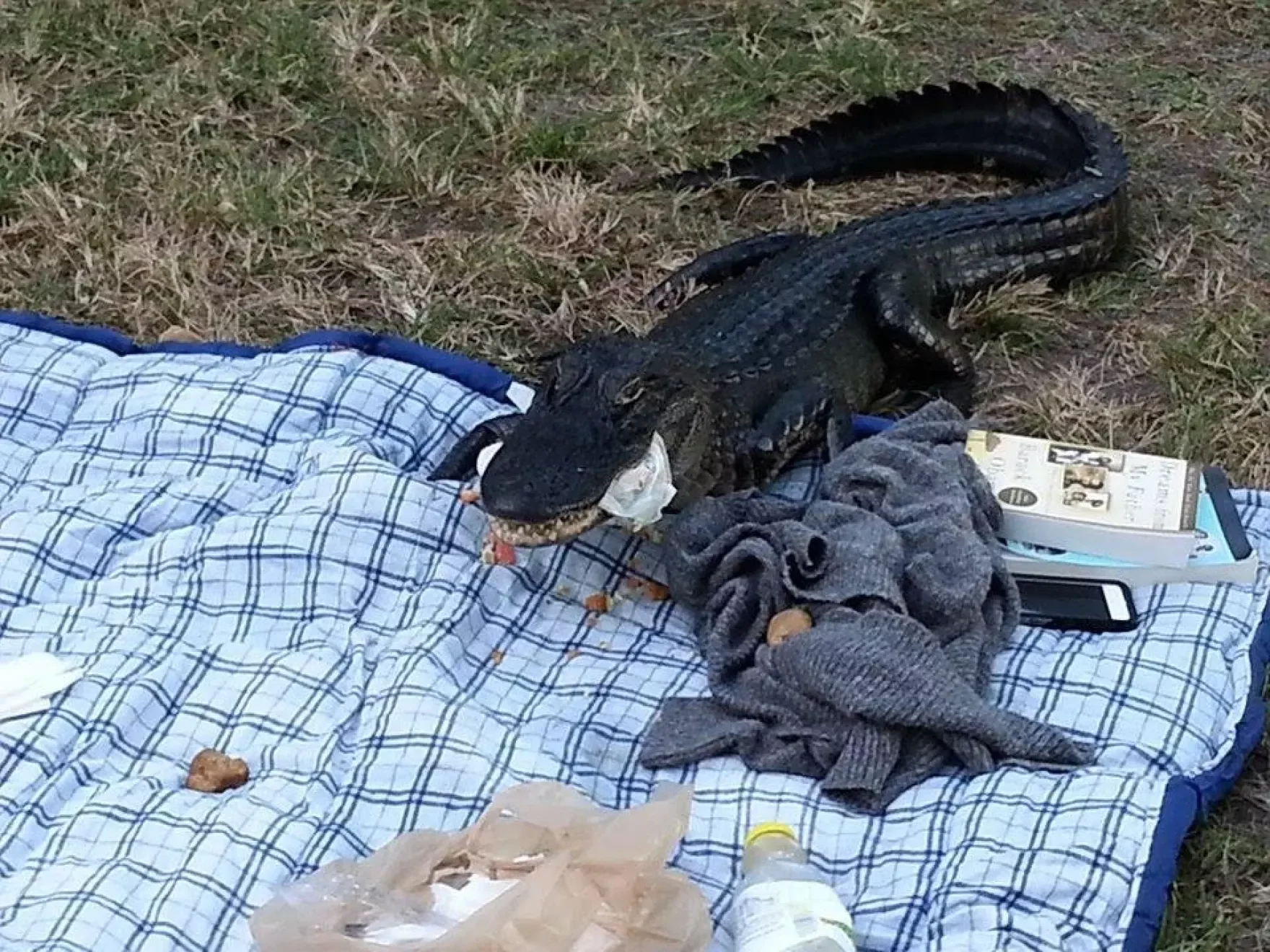 Взгляд в глубину: 13 удивительных изображений, способных по-настоящему удивить