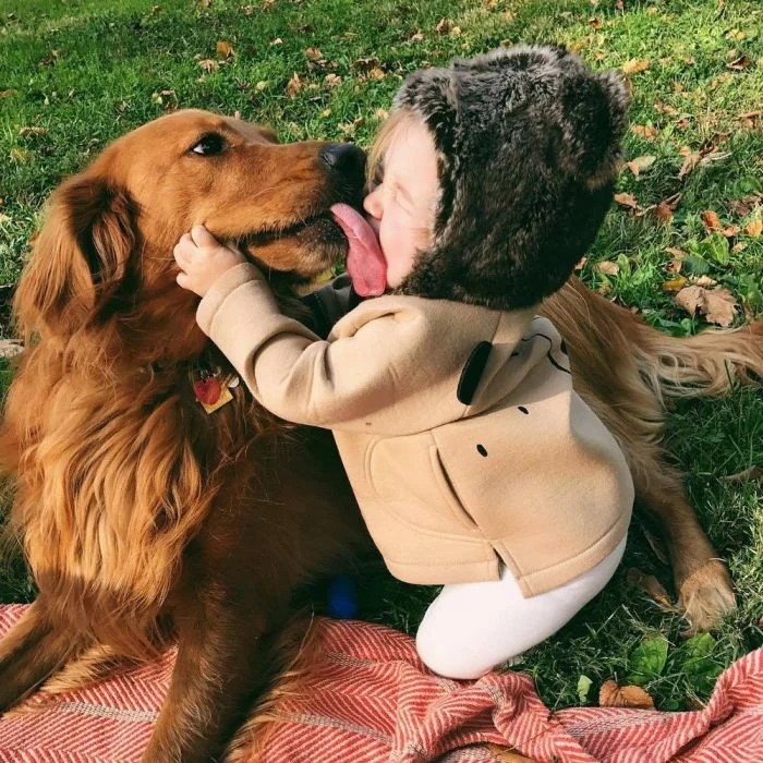 На общую тему