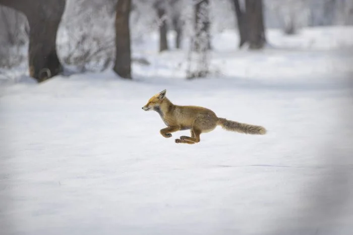 На общую тему