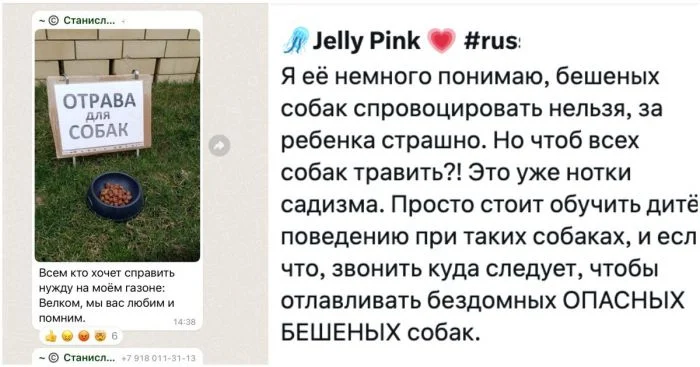 Конфликт между жильцами и собачниками в общедомовом чате