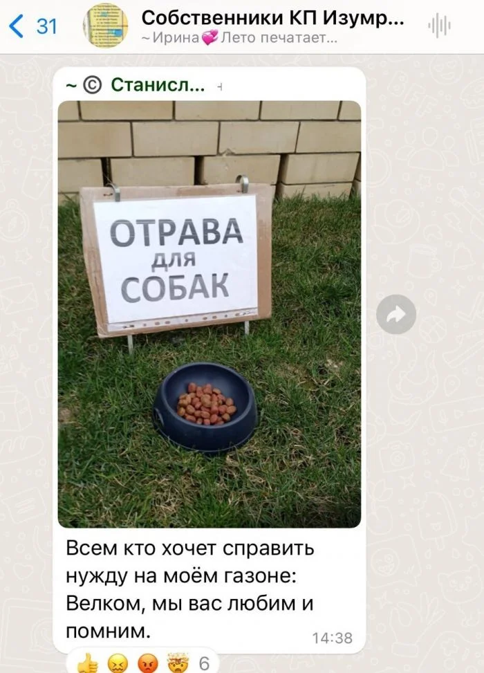 Конфликт между жильцами и собачниками в общедомовом чате