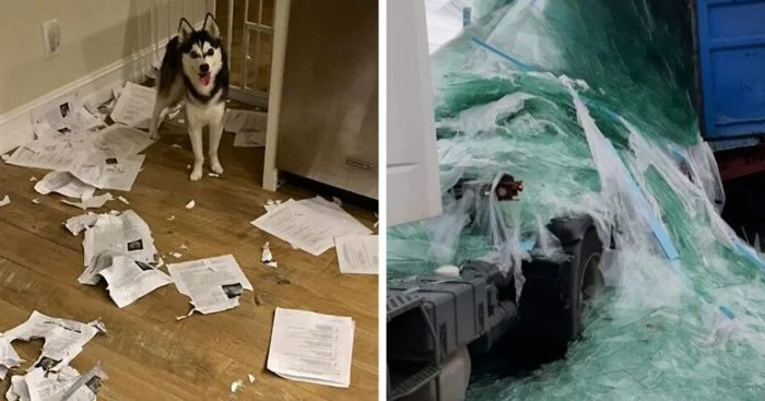 30 человек, которые доказали, что ваш день может быть и хуже