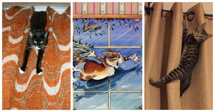 Необычные способы применения штор