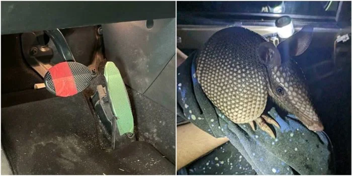 Феномены гаражной работы: 30 удивительных вещей, обнаруженных автомеханиками