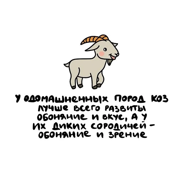 Необычные факты, которые вам точно пригодятся