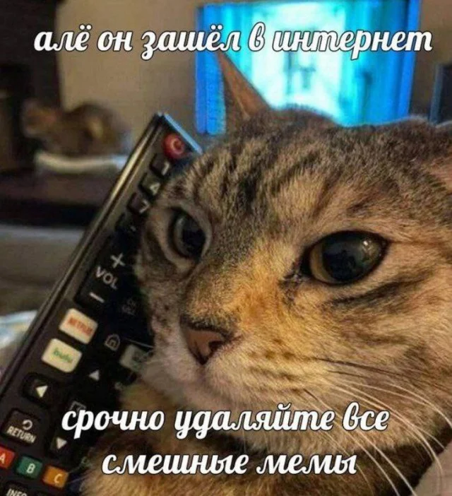 Картиношки