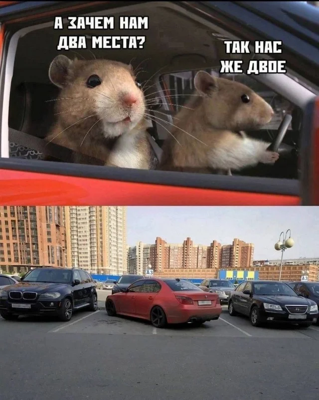 Картиношки