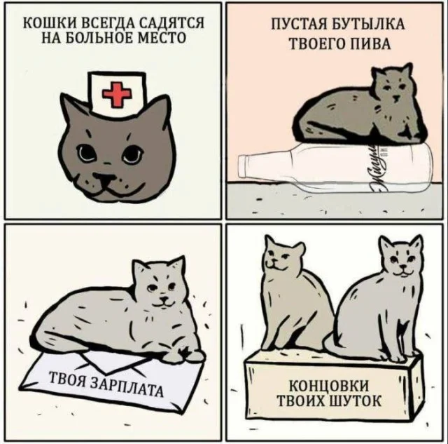 Картиношки