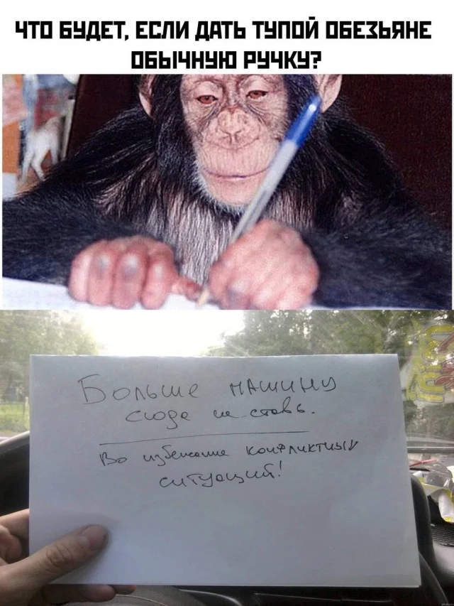 Картиношки