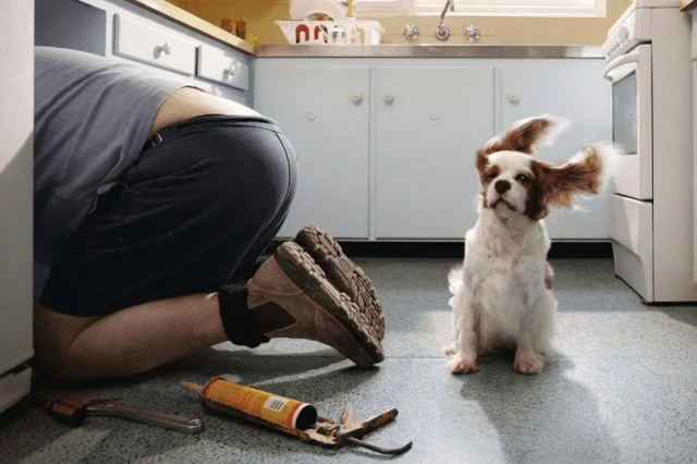 Неожиданные факты: ТОП-13 забавных и неловких моментов, связанных с физиологией о которых многие молчат