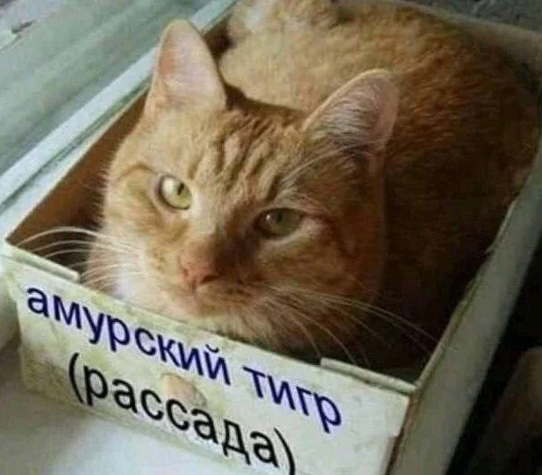 Балласт картинок