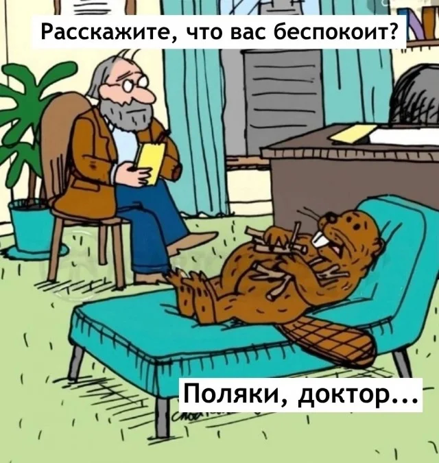 Вот так картинки