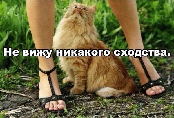 Вот такие картинки