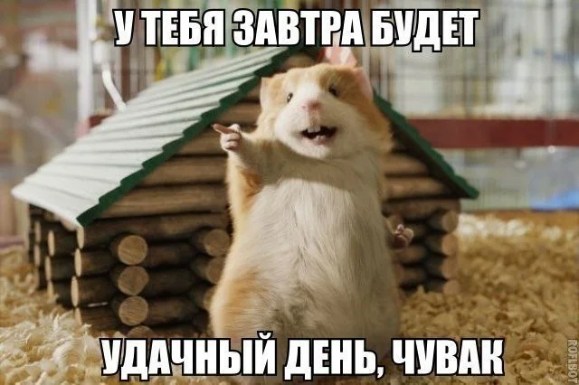 А, ну это снова картинки