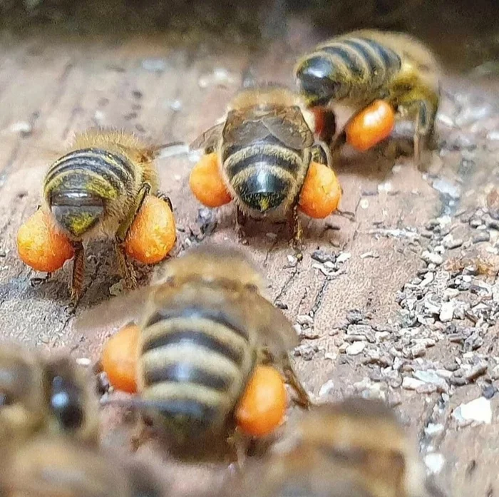 Когда вы вдруг осознали: "Невероятно, что кто-то живёт так!"