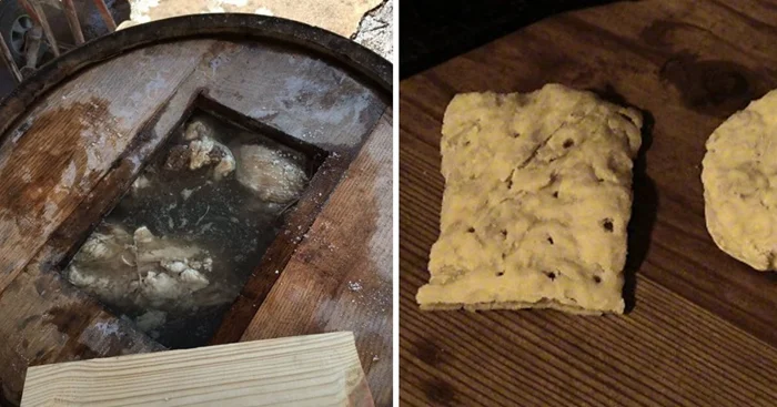 Исследование самой жёсткой еды в мире