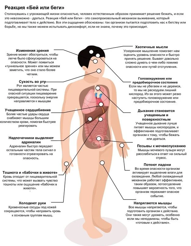 Саблезубые тигры и дедлайны: когда стоит драться, а когда - убегать?