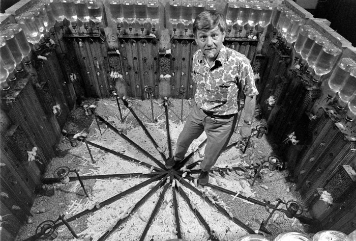 Исследование «Вселенная 25»: история, как строительство рая обернулось катастрофой