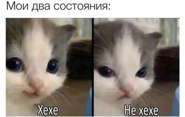 Скрины из соцсетей