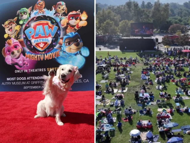 Фильмы, вошедшие в Книгу рекордов Гиннесса за уникальные достижения