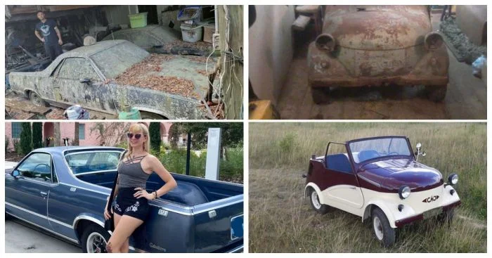 25 старых и поврежденных автомобилей нашли новый смысл своего существования