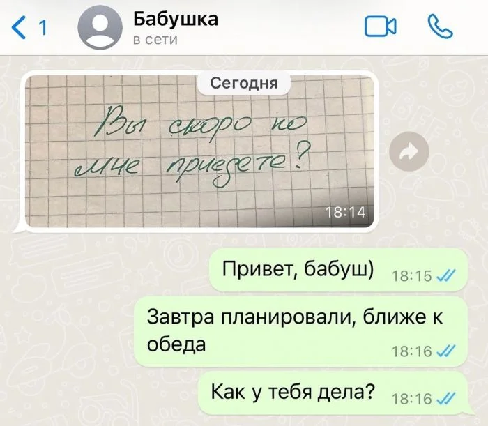 Сообщения от бабушек: смешные тексты, которые знакомы каждому внуку