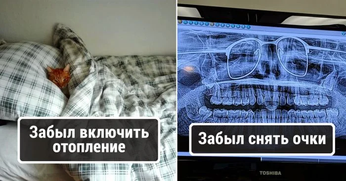 Рассказы о забавных последствиях, когда люди что-то забыли