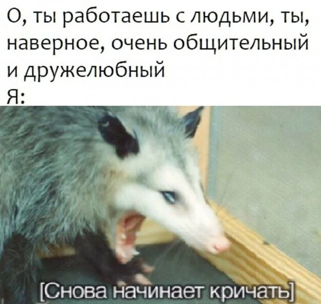 Скрины из соцсетей