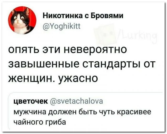 Скрины из соцсетей