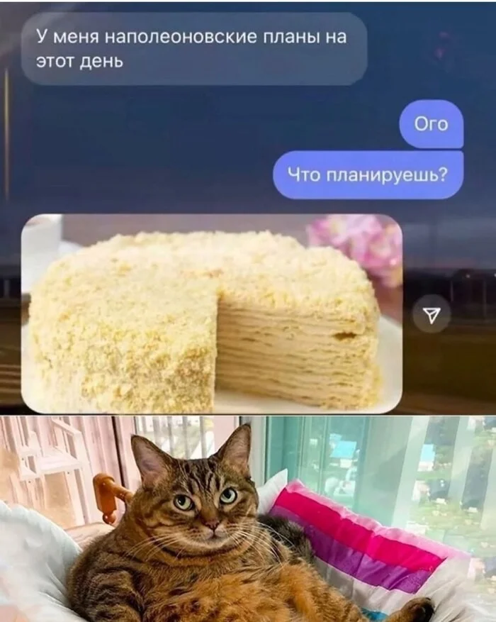 Скрины из соцсетей