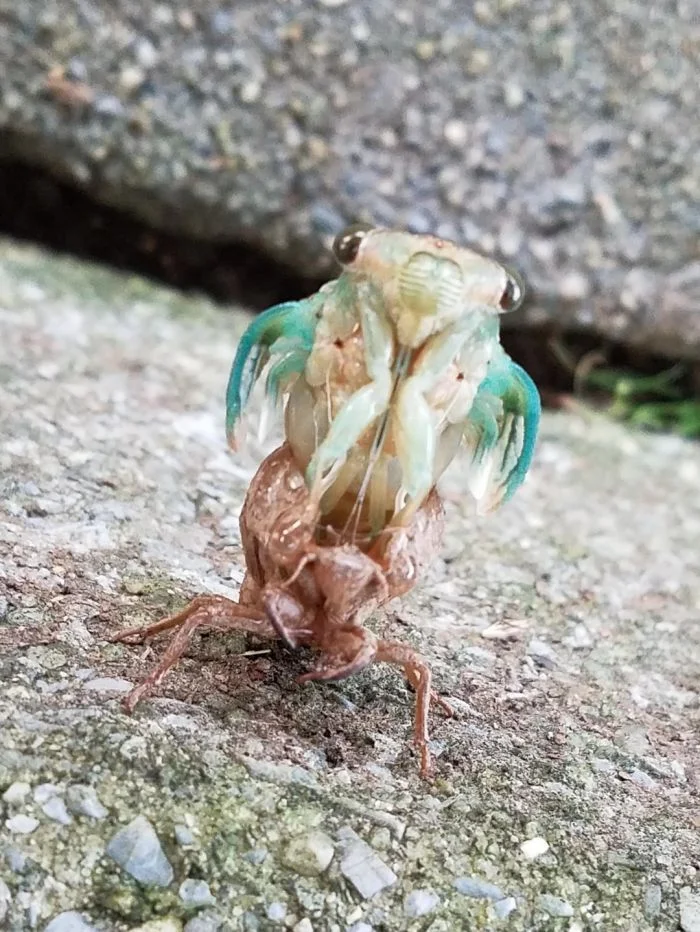 Необычные ракурсы на привычные предметы