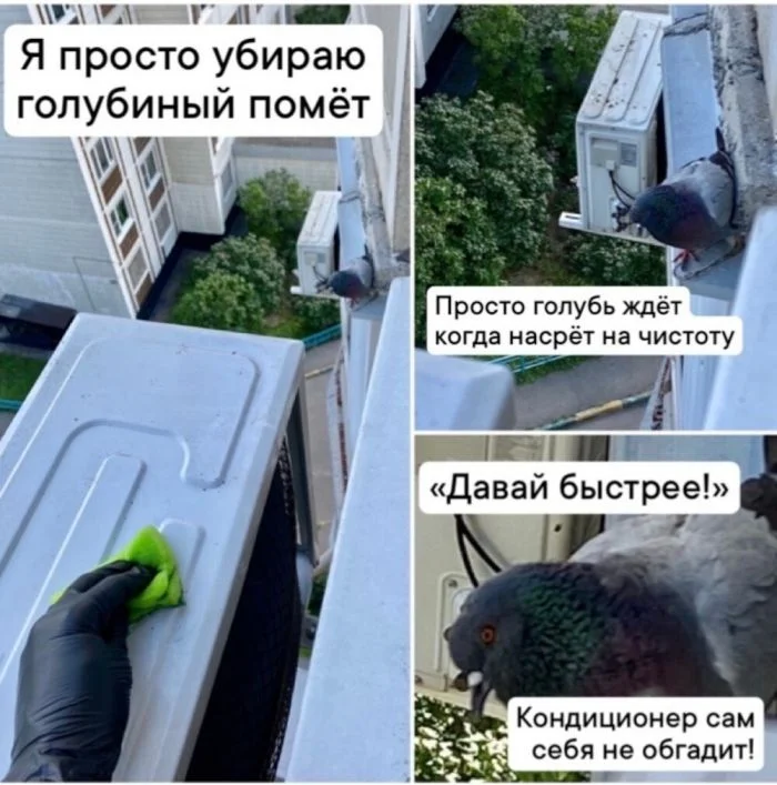 Погружение в мир наглости: когда хамство становится нормой