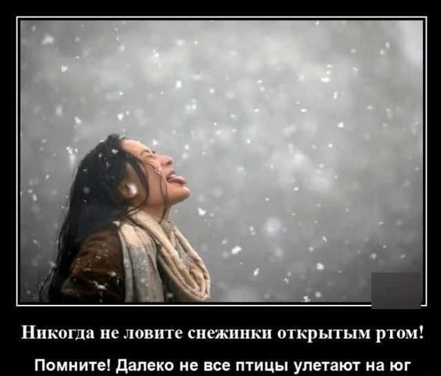 Картинки в черной рамке