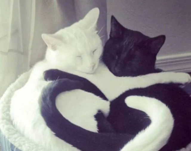 Намешалось