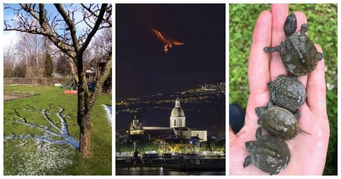 25 увлекательных кадров из серии «С миру по нитке»