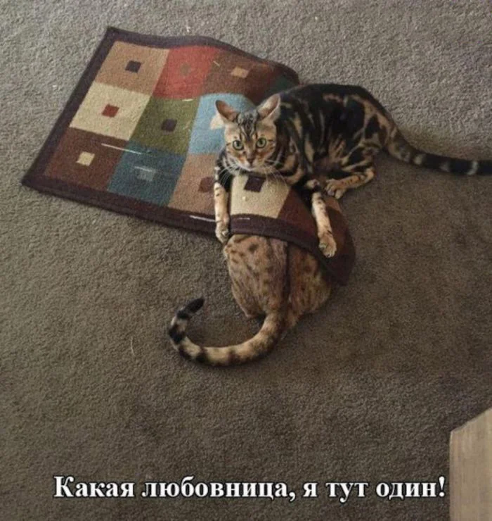 Двоюродная жена или проще говоря любовница