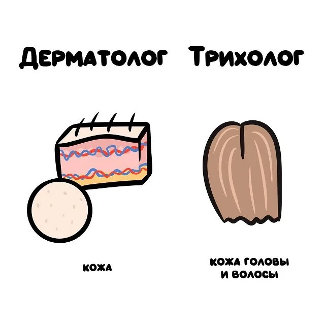 Словесные ловушки: подсказки о частых путаницах в словах