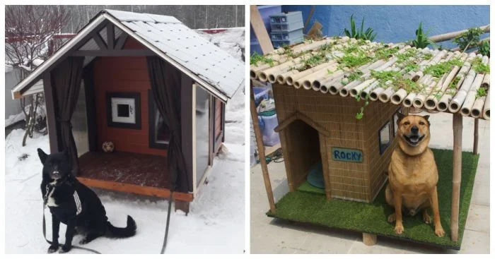 Уютные гнёзда для лапочек: домики повышенной комфортности для лучших друзей