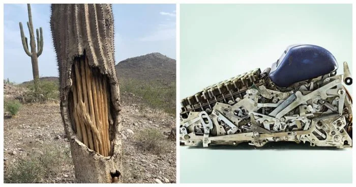 Загадочные находки: 18 сюрпризов, спрятанных внутри различных предметов