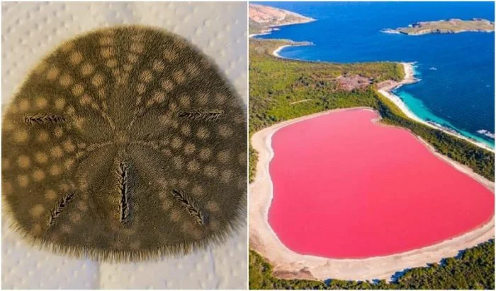 30 удивительных кадров с различными объектами и явлениями